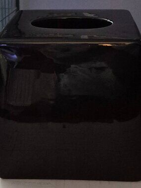 Ceramic Solid Black Tissue Box Cover Holder The Spa Collection Hobby Lobby EC